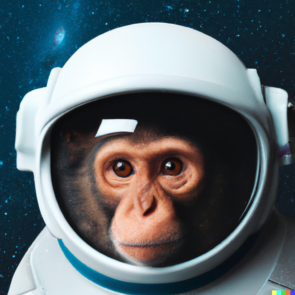 monkey_astronaut